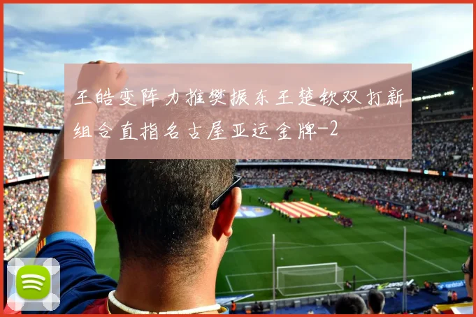王皓变阵力推樊振东王楚钦双打新组合直指名古屋亚运金牌