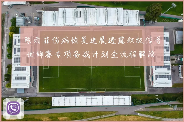 陈雨菲伤病恢复进展透露积极信号 世锦赛专项备战计划全流程解读