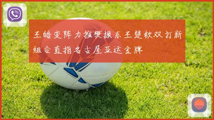 王皓变阵力推樊振东王楚钦双打新组合直指名古屋亚运金牌